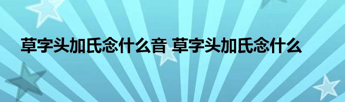 草字头加氏念什么音 草字头加氏念什么 