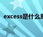 excess是什么意思英语 excess是什么意思 