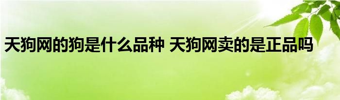 天狗网的狗是什么品种 天狗网卖的是正品吗 