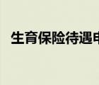 生育保险待遇申请表 生育保险能报多少钱 