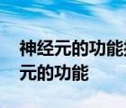 神经元的功能接受刺激产生并传导什么 神经元的功能 