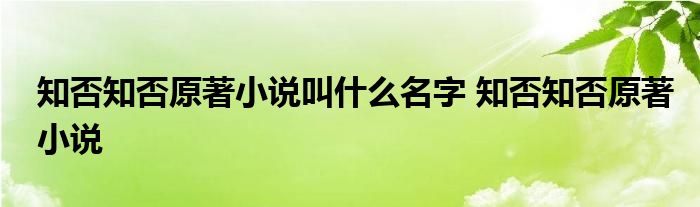 知否知否原著小说叫什么名字 知否知否原著小说 