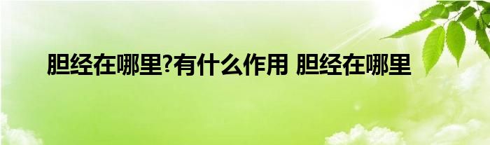 胆经在哪里?有什么作用 胆经在哪里 