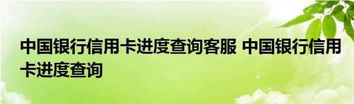 中国银行信用卡进度查询客服 中国银行信用卡进度查询 