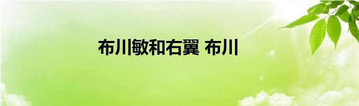 布川敏和右翼 布川 