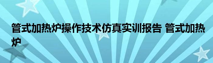 管式加热炉操作技术仿真实训报告 管式加热炉 