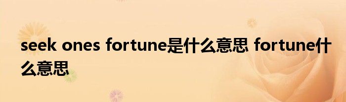 seek ones fortune是什么意思 fortune什么意思 