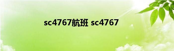 sc4767航班 sc4767 