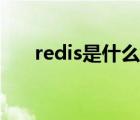 redis是什么类型数据库 redis是什么 