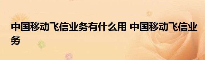 中国移动飞信业务有什么用 中国移动飞信业务 