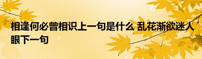 相逢何必曾相识上一句是什么 乱花渐欲迷人眼下一句 