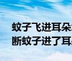 蚊子飞进耳朵怎么判断他是否爬出来 怎样判断蚊子进了耳朵 