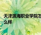 天津滨海职业学院怎么样才能住四人寝 天津滨海职业学院怎么样 