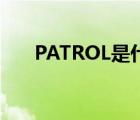 PATROL是什么车型 patrol是什么车 