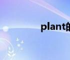 plant的中文歌 plant音译 