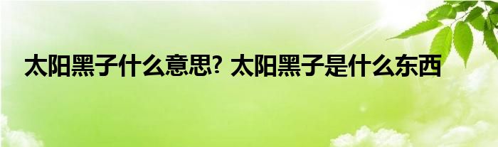 太阳黑子什么意思? 太阳黑子是什么东西 