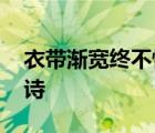 衣带渐宽终不悔全诗讲解 衣带渐宽终不悔全诗 