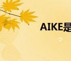 AIKE是什么鞋 aike是什么 