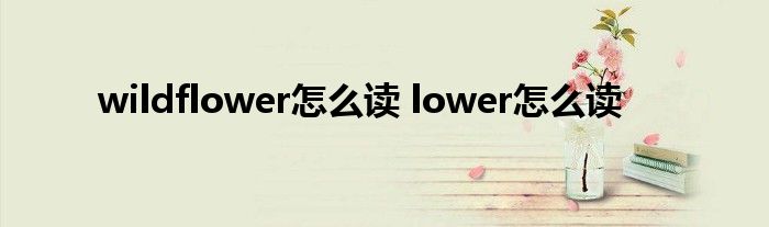 wildflower怎么读 lower怎么读 