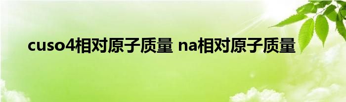 cuso4相对原子质量 na相对原子质量 