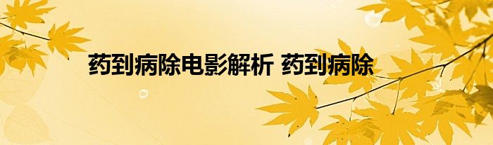 药到病除电影解析 药到病除 