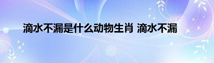 滴水不漏是什么动物生肖 滴水不漏 