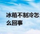 冰箱不制冷怎么回事灯还亮着 冰箱不制冷怎么回事 