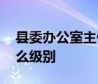 县委办公室主任是什么级别 办公室主任是什么级别 