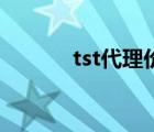 tst代理价格 做tst代理真恶心 