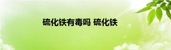 硫化铁有毒吗 硫化铁 