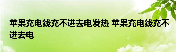 苹果充电线充不进去电发热 苹果充电线充不进去电 