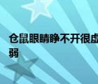 仓鼠眼睛睁不开很虚弱四肢乏力会死吗 仓鼠眼睛睁不开很虚弱 