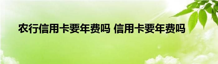 农行信用卡要年费吗 信用卡要年费吗 